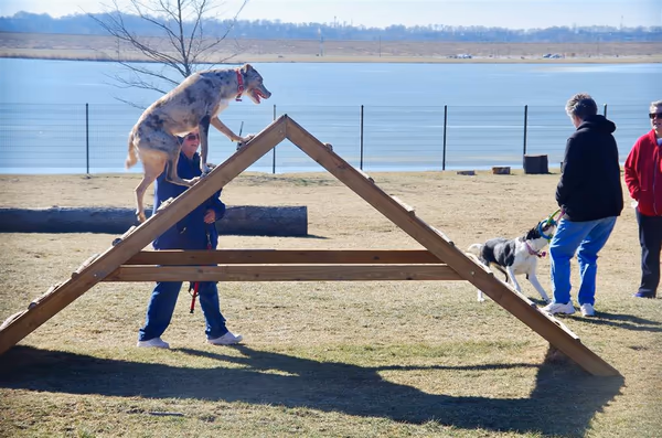 Dog Park at E. L. Pete Peterson Park photo 2